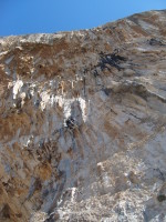 SNV80443.JPG